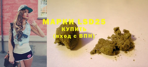 PSILOCYBIN Пересвет