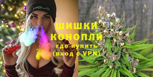 PSILOCYBIN Пересвет