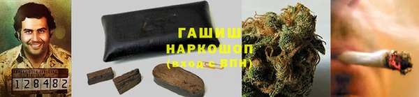 PSILOCYBIN Пересвет