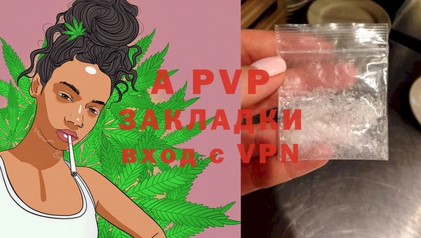 PSILOCYBIN Пересвет