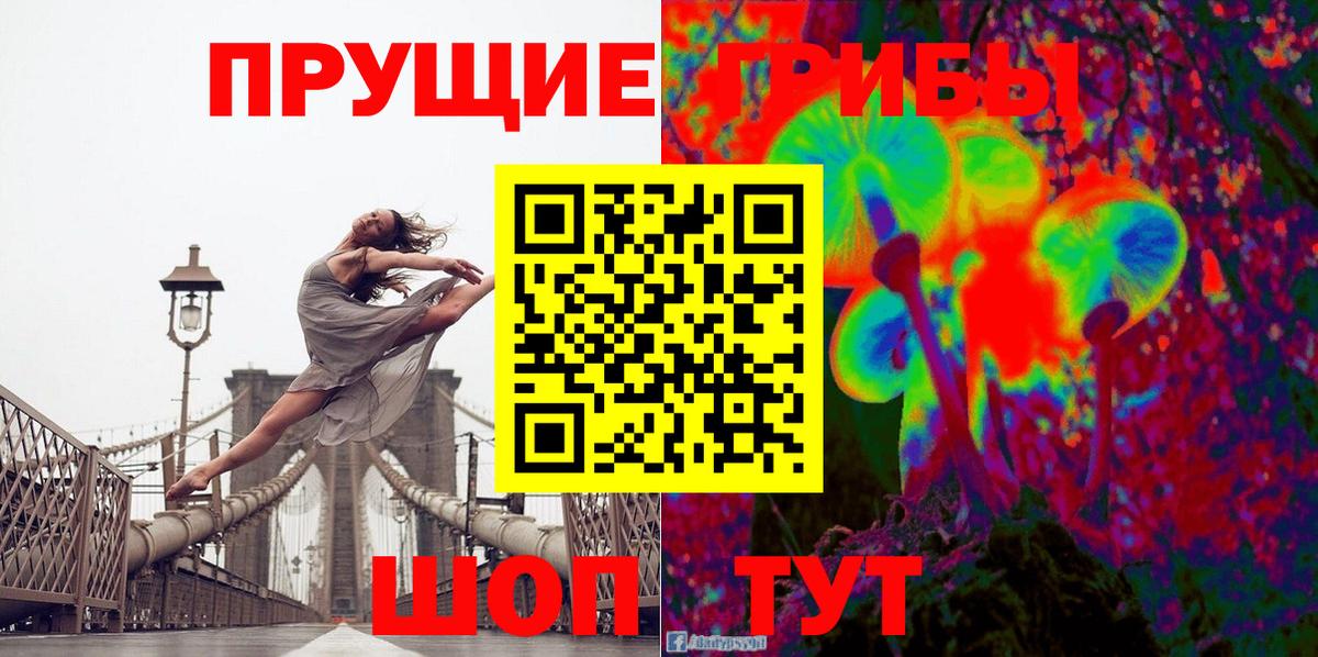 Галлюциногенные грибы мицелий  Псилоцибиновые грибы прущие грибы  купить  цена  Азнакаево 