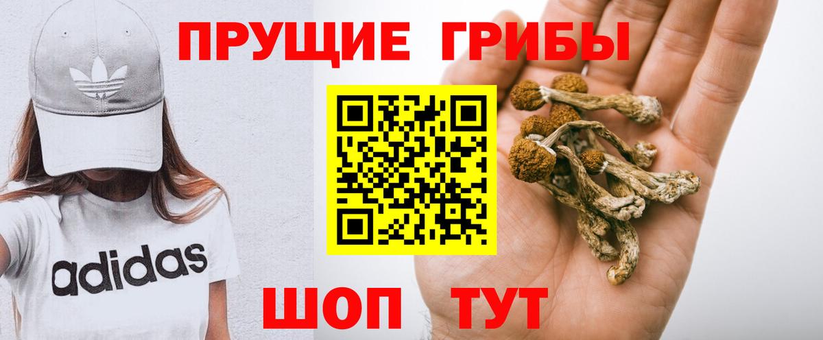 Галлюциногенные грибы ЛСД Азнакаево