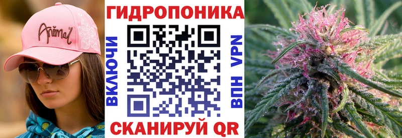 Бошки марихуана SATIVA & INDICA купить наркотики сайты Азнакаево